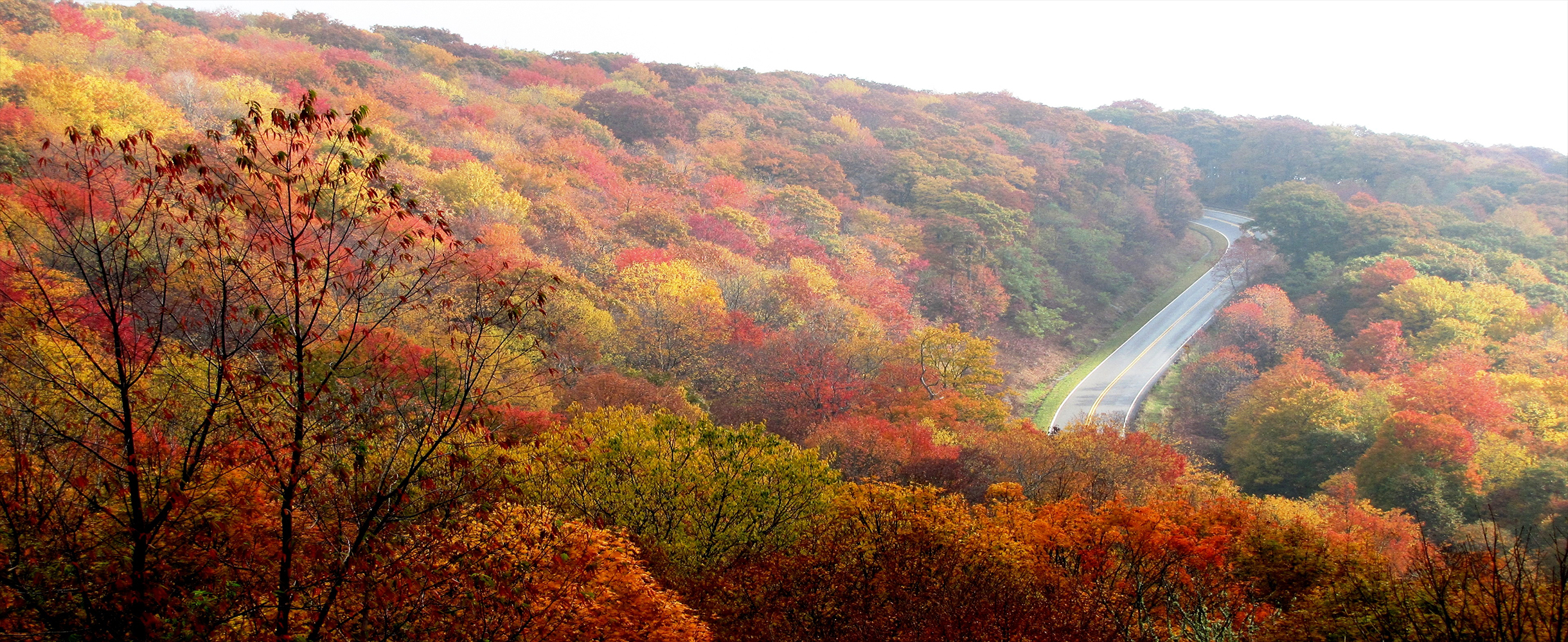 avis-charlotte-north-carolina-2440x1000_2.jpg